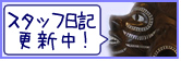 スタッフ日記更新中